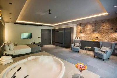 a bedroom with a bed and a tub in a room at Cityloft 24 in Istanbul
