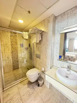 a bathroom with a toilet and a shower and a sink at Golden Lounge Hotel in Istanbul