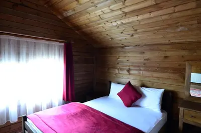 a bedroom with a bed in a wooden room at Uludag Orman Koskleri in Uludag