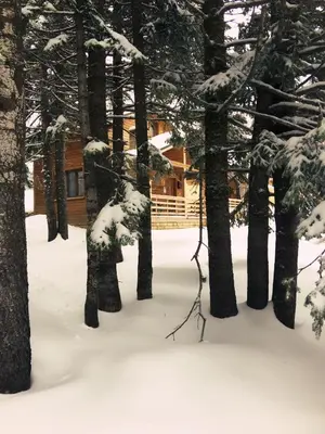 a snow covered yard with trees and a log cabin at Uludag Orman Koskleri in Uludag