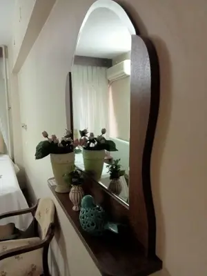 a mirror on a wall with potted plants on it at Hotel Cesmeli in Bursa