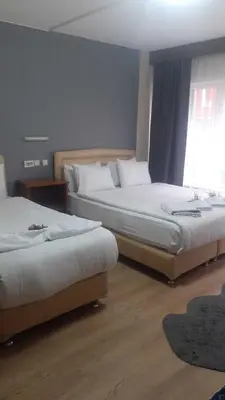 a bedroom with two beds and a window at Hotel Cesmeli in Bursa