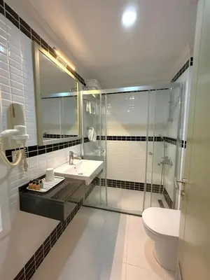 a bathroom with a shower and a sink and a toilet at Hotellino Istanbul in Istanbul