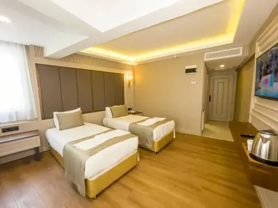 a hotel room with two beds and a flat screen tv at Martinenz Hotel in Istanbul