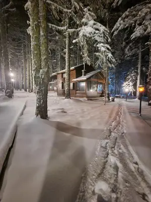 a cabin in the woods with snow on the ground at Karinna Orman Evleri in Uludag