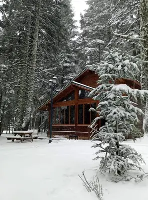 a log cabin in the woods with snow on it at Karinna Orman Evleri in Uludag