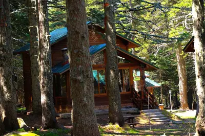 a log cabin in the woods with trees at Karinna Orman Evleri in Uludag