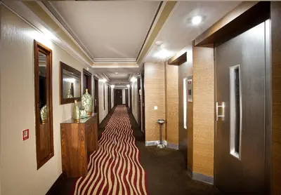 a hallway with a long carpet in a building at Hotel Buyuk Sahinler in Istanbul