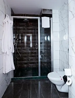a bathroom with a shower and a toilet at Ilkbal Deluxe Hotel &Spa Istanbul in Istanbul