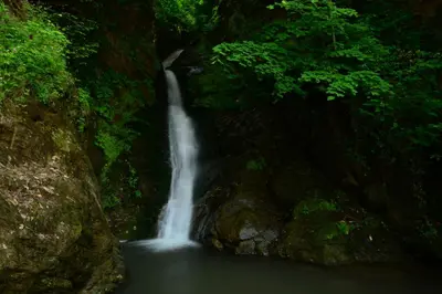 a waterfall in the middle of a forest at Karaaslan Kamping Tesisleri in Kazandere