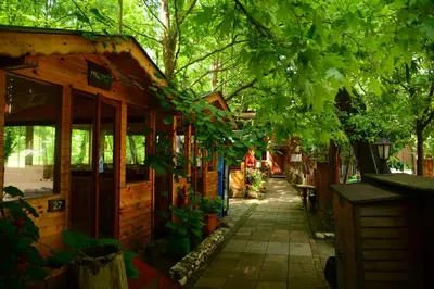 a wooden house with a walkway in front of it at Karaaslan Kamping Tesisleri in Kazandere