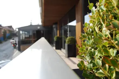 a close up of a building with a plant at The City Suites in Istanbul