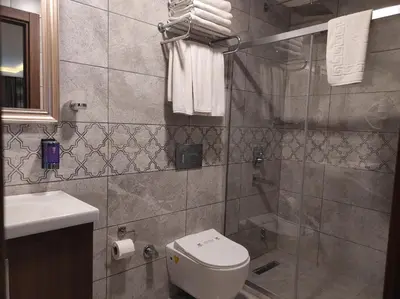a bathroom with a shower and a toilet and a sink at Magnaura House Hotel in Istanbul