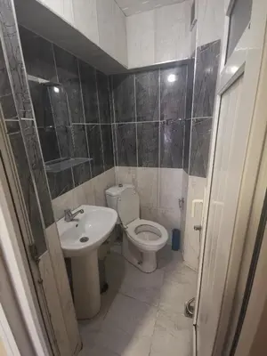 a small bathroom with a toilet and a sink at Birol Hotel in Istanbul
