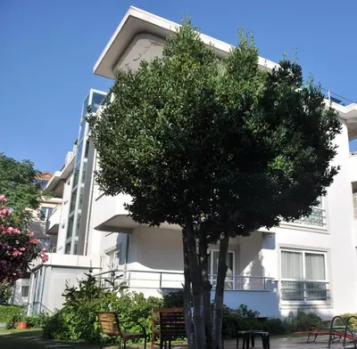 a tree in front of a white building with benches at dragos island hotel in Istanbul