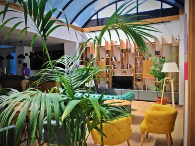 a living room with plants and a couch and shelves at Pera Hotel Lüleburgaz in Lüleburgaz
