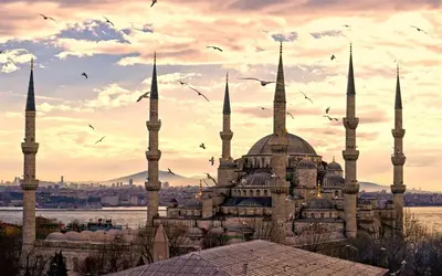 a building with two mosques with birds flying around it at Hot Budget Ortakoy in Istanbul