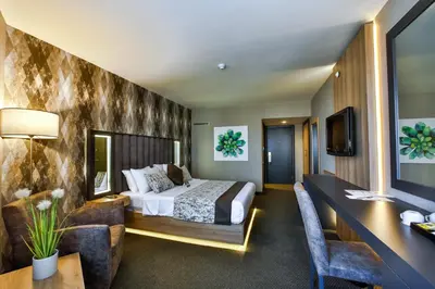 a hotel room with a bed and a desk at Hotel Anatolia in Bursa