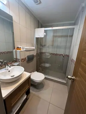 a bathroom with a shower and a toilet and a sink at Flower Palace Hotel in Istanbul