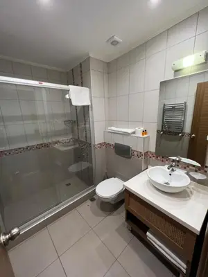 a bathroom with a shower and a toilet and a sink at Flower Palace Hotel in Istanbul