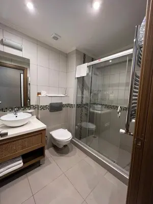 a bathroom with a shower and a toilet and a sink at Flower Palace Hotel in Istanbul