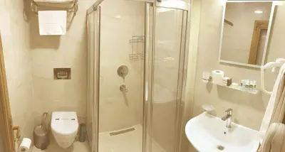 a bathroom with a shower and a toilet and a sink at Ahmet Efendi Konağı in Istanbul