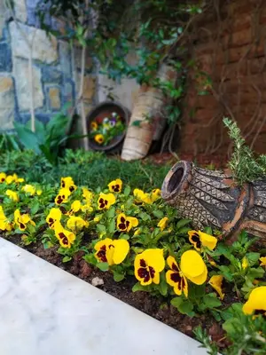 a group of yellow flowers in a garden at Antea Palace Hotel & Spa in Istanbul