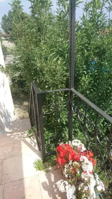 a gate with a bunch of flowers next to a bush at Kumbaz Pansiyon in Sapanca