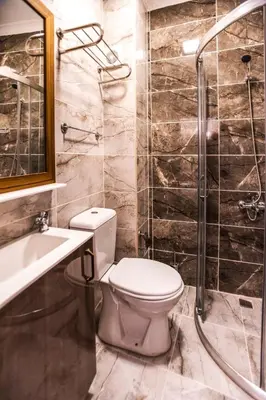 a bathroom with a toilet and a shower at Dara Old City Hotel in Istanbul