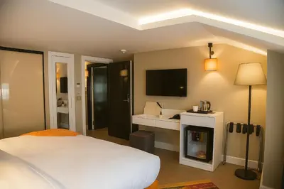 a hotel room with a bed and a fireplace at Sparkle Hotel in Istanbul