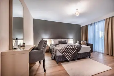 a hotel room with a bed and a desk and a desk at Çırağan Apart Bosphorus in Istanbul