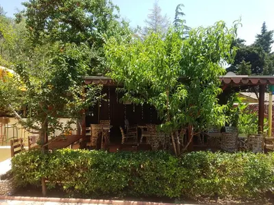 a gazebo with chairs and trees in a yard at Istanbul Yildiz Hotel in Marmaraereglisi