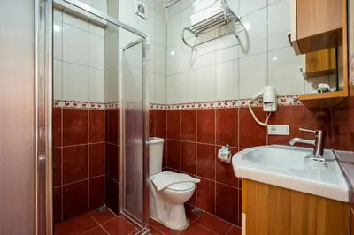 a bathroom with a toilet and a sink and a shower at Gedikpasa Konagi Hotel in Istanbul