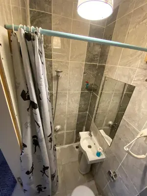 a bathroom with a shower and a toilet and a sink at Chez Bore in Istanbul