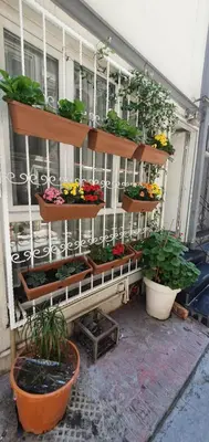 a display of plants and flowers on a building at TAKSİM LİFE HOUSE in Istanbul