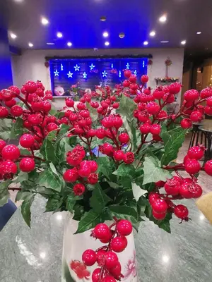 a white vase with red flowers in it at La Wisteria Boutique Hotel Istanbul in Istanbul