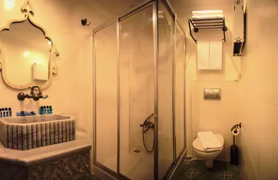 a bathroom with a shower and a sink and a toilet at Merial Hotel Sultanahmet in Istanbul
