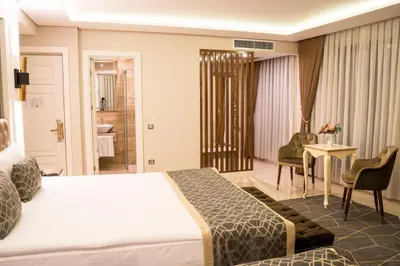 a hotel room with a large bed and a bathroom at Beethoven Premium Hotel in Istanbul