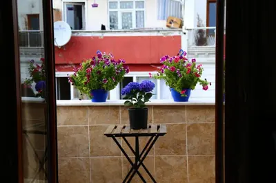 a window with three potted flowers on a balcony at holiday family apart in Istanbul