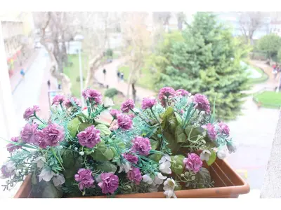 a pot of purple flowers sitting on a window sill at Sultans Hotel in Istanbul