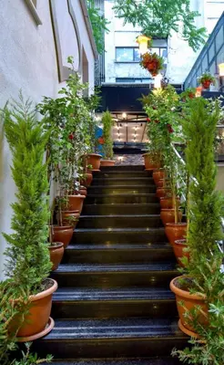 a set of stairs with potted plants on them at Royal Garden Suite and Hotel in Istanbul