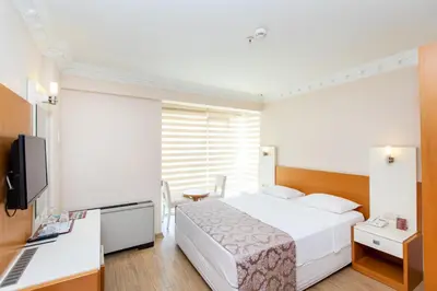 a hotel room with a bed and a television at Baron Hotel & Spa in Istanbul
