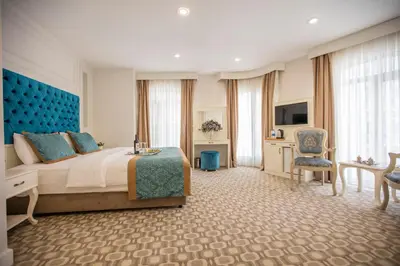 a bedroom with a large bed with a blue headboard at Dodo Hotel Spa Old City in Istanbul