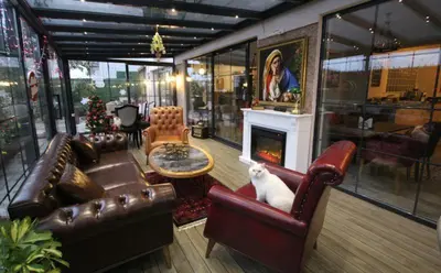 a living room with leather furniture and a white cat sitting on a couch at Lagun Palas in Yalova