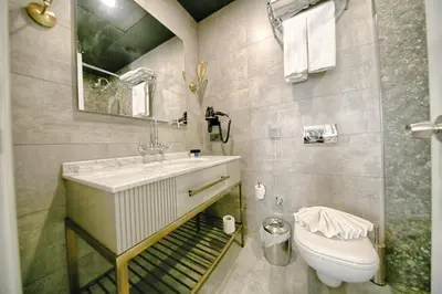 a bathroom with a sink and a toilet at Royal Tophane in Istanbul