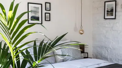 a bedroom with a plant next to a bed at HAUS Galata in Istanbul