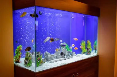 a blue aquarium with fish in it at Mekke Hotel Istanbul in Istanbul