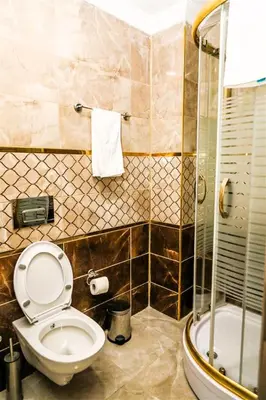 a bathroom with a toilet and a shower at WİND HOTEL in Sakarya