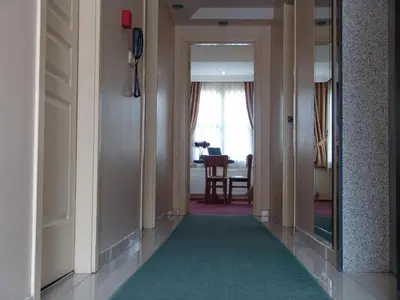 a hallway with a green carpet and a dining room at Hotel Nova in Istanbul