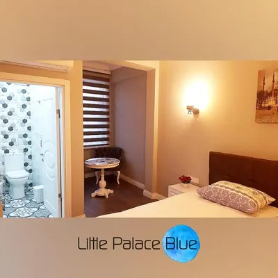 a bedroom with a bed and a bathroom with a toilet at Little Palace Blue Apartment in Istanbul